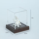 999 Pure Silver Ganesha Idol By Krysaliis Isvara - Krign_Ms03 Idols