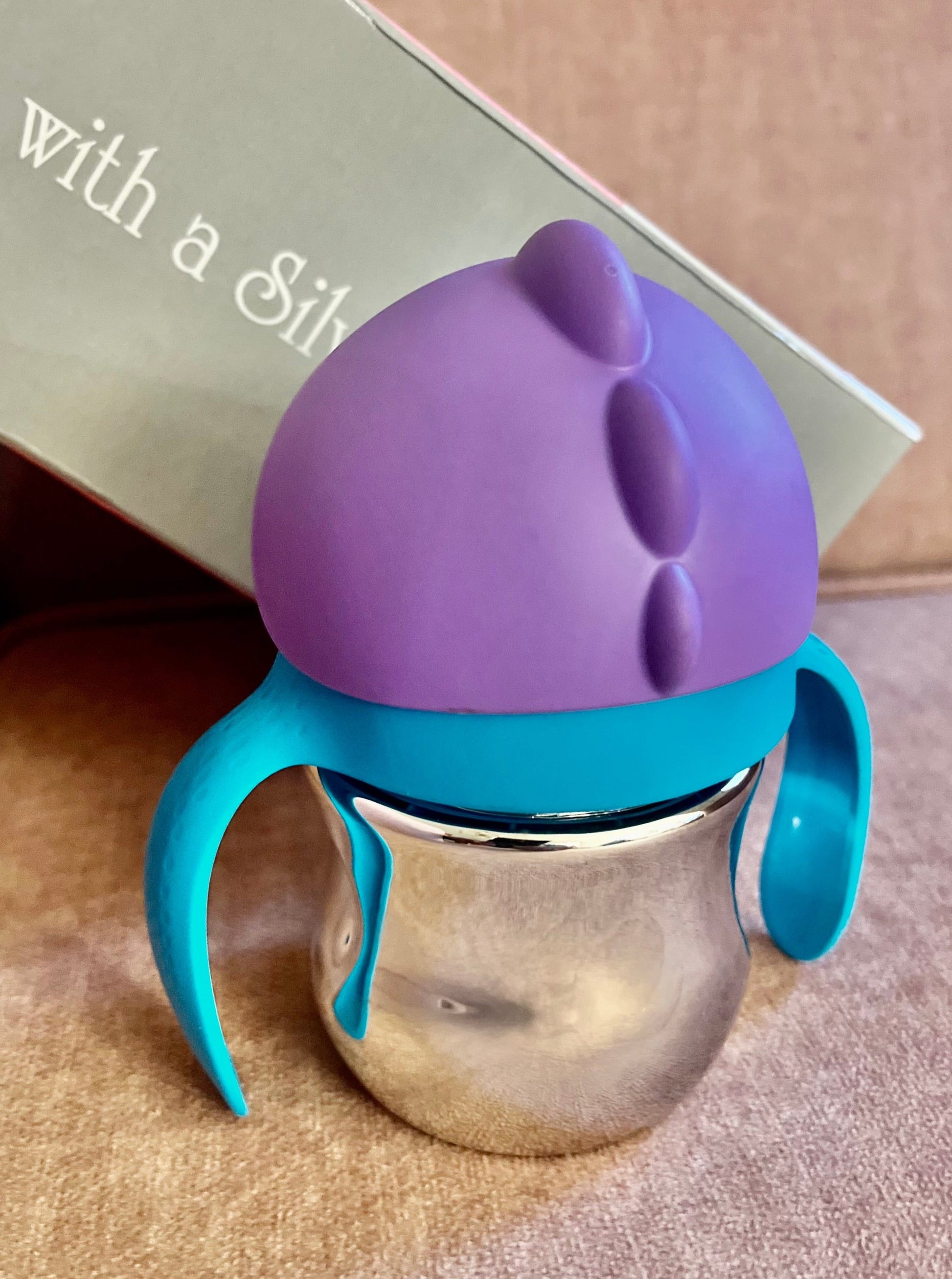 Buy Premium Baby Sipper Cups 999 Pure Silver Straw Cup