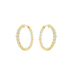 Enchanted Oval Hoops