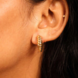 Sculpted Swirl Earrings